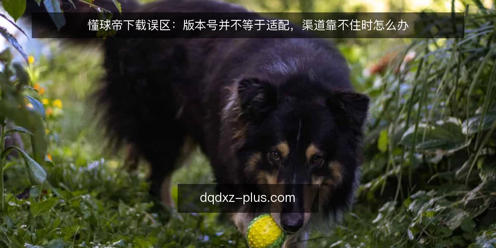 懂球帝下载误区：版本号并不等于适配，渠道靠不住时怎么办 — 先看哪些信号值得留意 配图